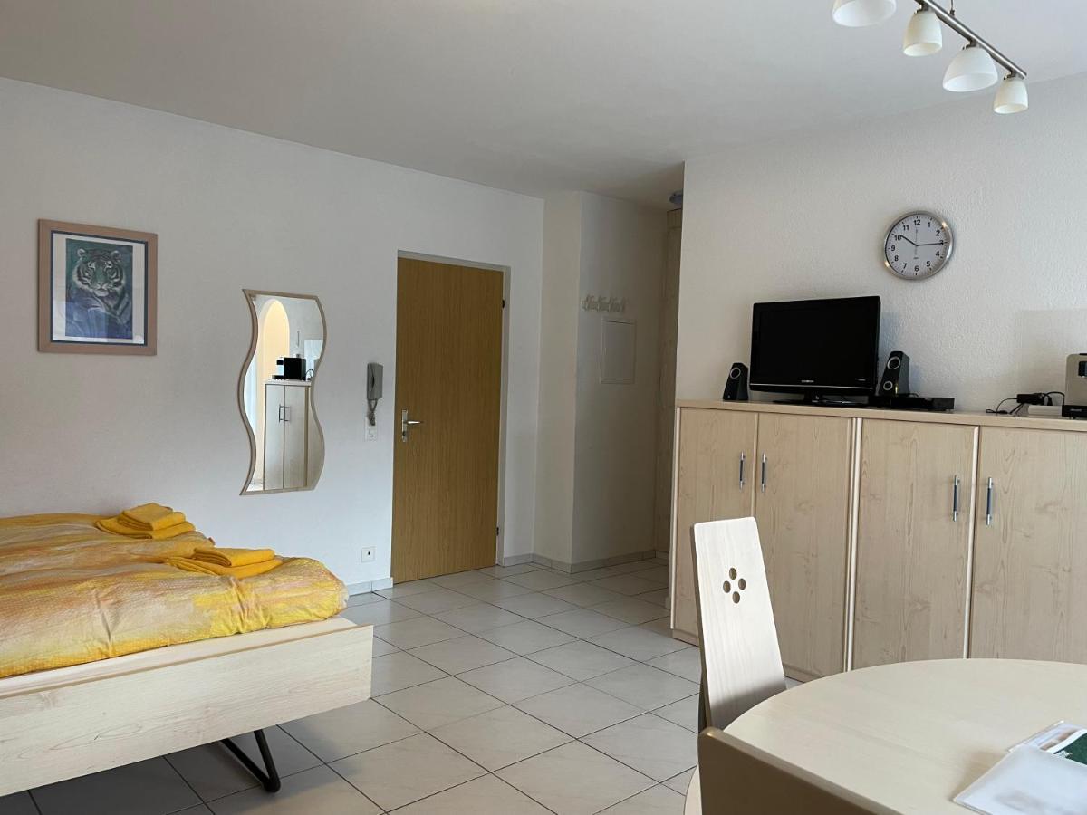 Muralto-Locarno: Miramonti Apt. 4 Ngoại thất bức ảnh